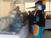 Marlins Adoption Event