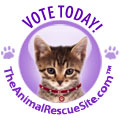 120x120_VOTECat_ShelterChallenge2011
